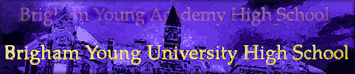 Brigham Young High School Banner No. 11 - 146